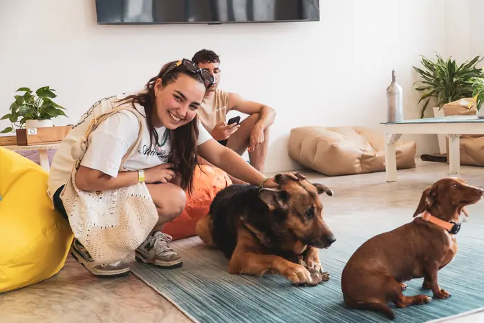 A guest petting the two hostel dogs on the lounge rug